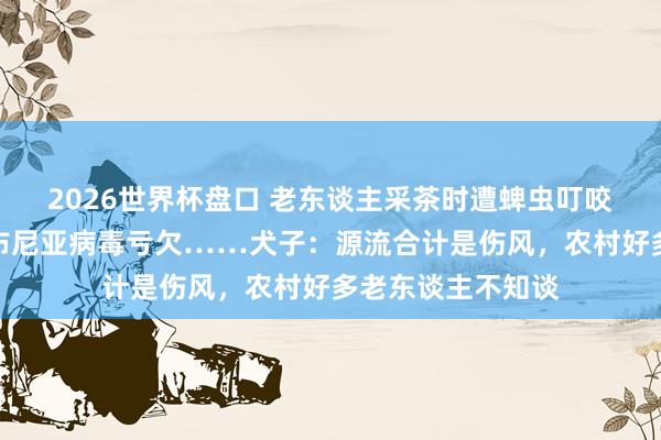 2026世界杯盘口 老东谈主采茶时遭蜱虫叮咬，确诊感染新式布尼亚病毒亏欠……犬子：源流合计是伤风，农村好多老东谈主不知谈