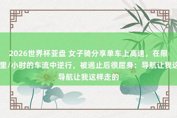 2026世界杯亚盘 女子骑分享单车上高速，在限速80公里/小时的车流中逆行，被遏止后很屈身：导航让我这样走的