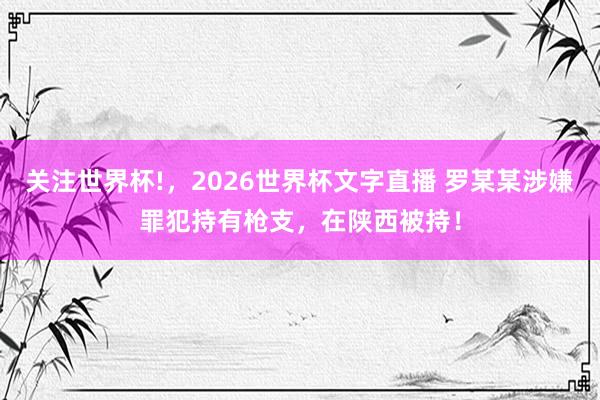 关注世界杯!，2026世界杯文字直播 罗某某涉嫌罪犯持有枪支，在陕西被持！