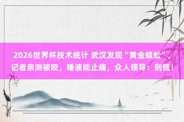 2026世界杯技术统计 武汉发现“黄金蜈蚣”，记者亲测被咬，唾液能止痛，众人领导：别慌！