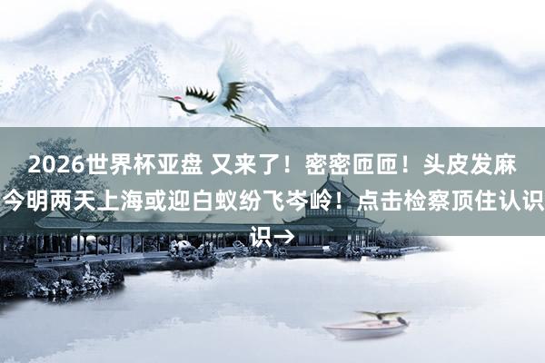 2026世界杯亚盘 又来了！密密匝匝！头皮发麻！今明两天上海或迎白蚁纷飞岑岭！点击检察顶住认识→