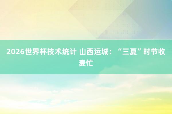 2026世界杯技术统计 山西运城：“三夏”时节收麦忙