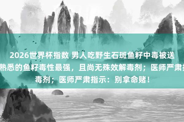 2026世界杯指数 男人吃野生石斑鱼籽中毒被送进抢救室，该鱼熟悉的鱼籽毒性最强，且尚无殊效解毒剂；医师严肃指示：别拿命赌！