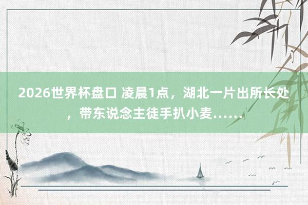2026世界杯盘口 凌晨1点，湖北一片出所长处，带东说念主徒手扒小麦……