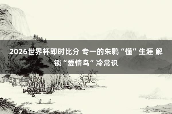 2026世界杯即时比分 专一的朱鹮“懂”生涯 解锁“爱情鸟”冷常识
