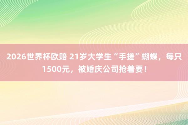 2026世界杯欧赔 21岁大学生“手搓”蝴蝶，每只1500元，被婚庆公司抢着要！