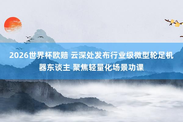 2026世界杯欧赔 云深处发布行业级微型轮足机器东谈主 聚焦轻量化场景功课