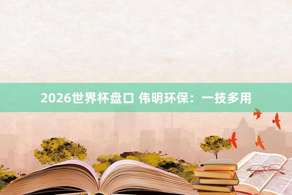 2026世界杯盘口 伟明环保：一技多用