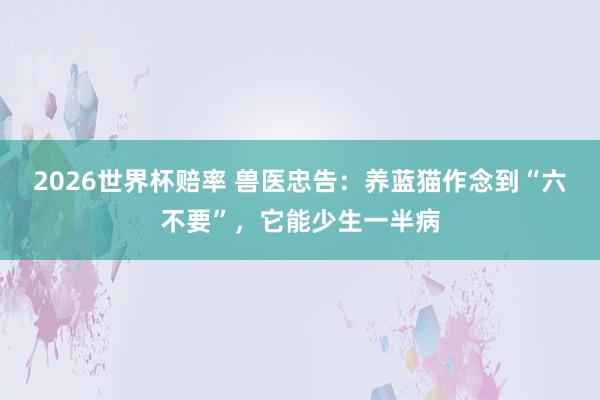 2026世界杯赔率 兽医忠告：养蓝猫作念到“六不要”，它能少生一半病