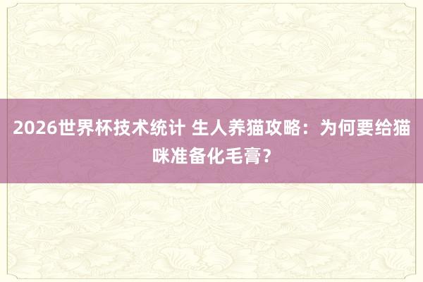 2026世界杯技术统计 生人养猫攻略：为何要给猫咪准备化毛膏？