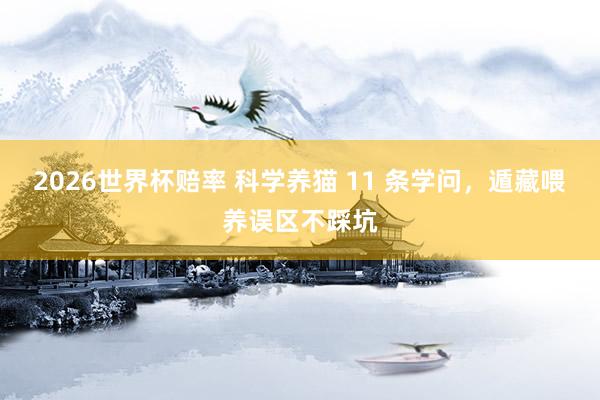 2026世界杯赔率 科学养猫 11 条学问，遁藏喂养误区不踩坑