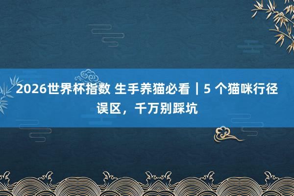 2026世界杯指数 生手养猫必看｜5 个猫咪行径误区，千万别踩坑