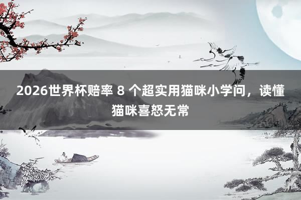 2026世界杯赔率 8 个超实用猫咪小学问，读懂猫咪喜怒无常