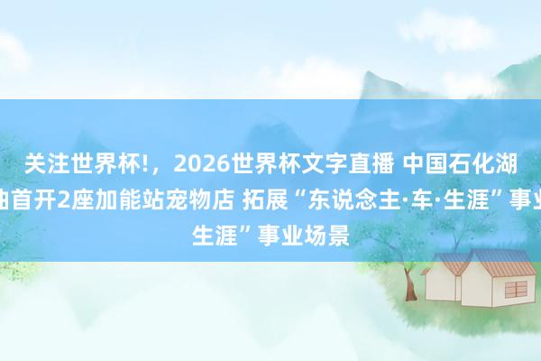 关注世界杯!，2026世界杯文字直播 中国石化湖南石油首开2座加能站宠物店 拓展“东说念主·车·生涯”事业场景