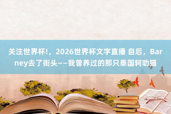 关注世界杯!，2026世界杯文字直播 自后，Barney去了街头——我曾养过的那只泰国轲叻猫