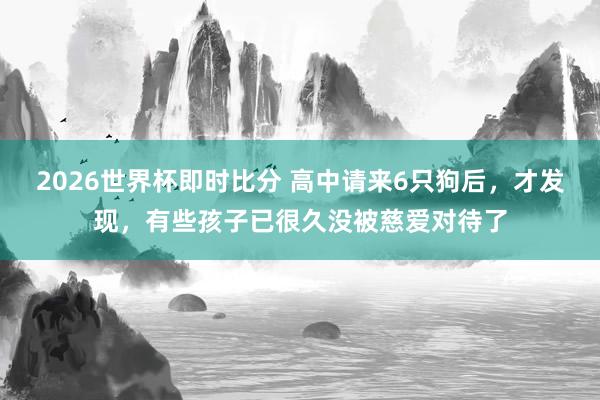 2026世界杯即时比分 高中请来6只狗后，才发现，有些孩子已很久没被慈爱对待了