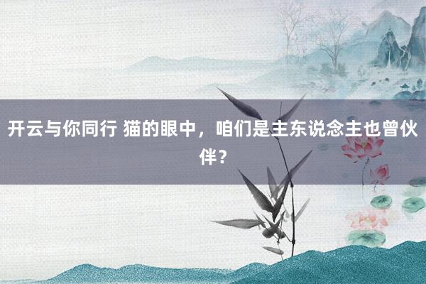开云与你同行 猫的眼中，咱们是主东说念主也曾伙伴？