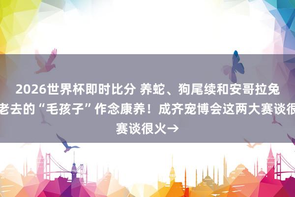 2026世界杯即时比分 养蛇、狗尾续和安哥拉兔，给老去的“毛孩子”作念康养！成齐宠博会这两大赛谈很火→