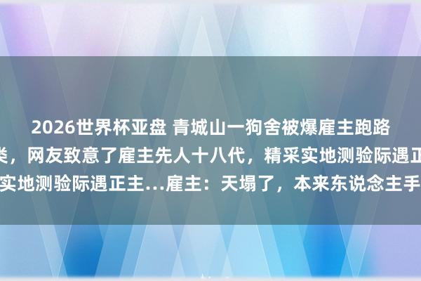 2026世界杯亚盘 青城山一狗舍被爆雇主跑路，毛孩子饿到初始吃同类，网友致意了雇主先人十八代，精采实地测验际遇正主…雇主：天塌了，本来东说念主手不够就烦…
