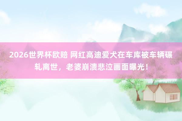 2026世界杯欧赔 网红高迪爱犬在车库被车辆碾轧离世，老婆崩溃悲泣画面曝光！