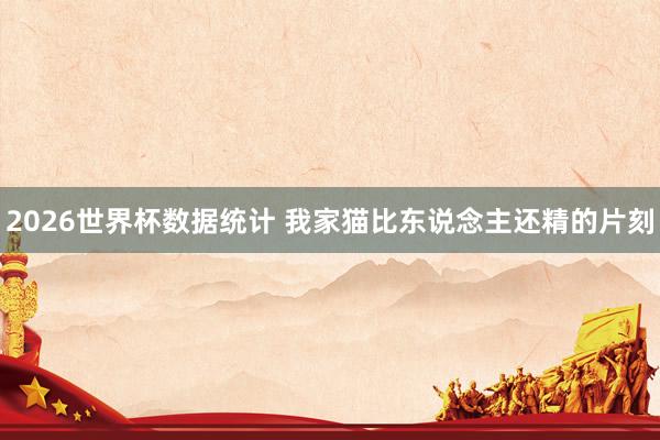2026世界杯数据统计 我家猫比东说念主还精的片刻