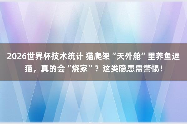 2026世界杯技术统计 猫爬架“天外舱”里养鱼逗猫，真的会“烧家”？这类隐患需警惕！