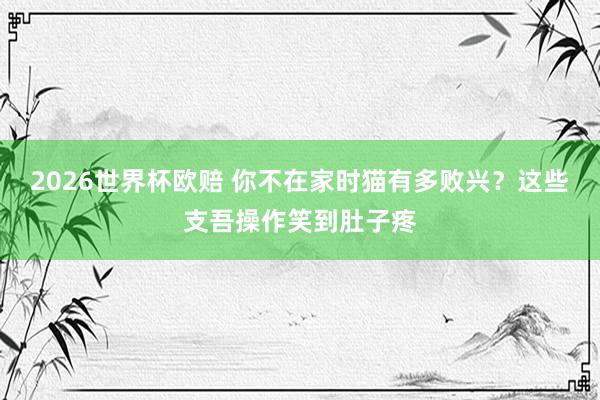 2026世界杯欧赔 你不在家时猫有多败兴？这些支吾操作笑到肚子疼