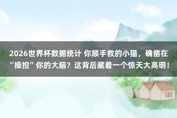 2026世界杯数据统计 你顺手救的小猫，确凿在“操控”你的大脑？这背后藏着一个惊天大高明！