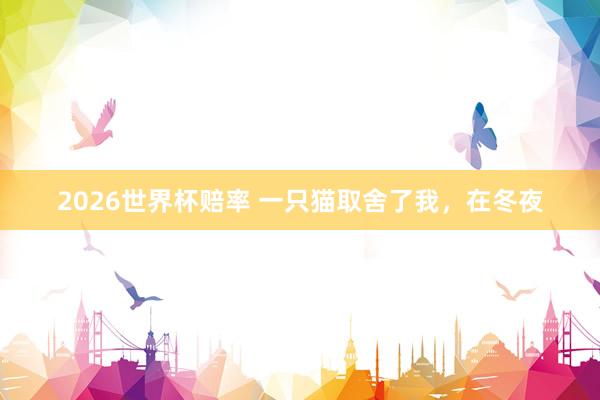2026世界杯赔率 一只猫取舍了我，在冬夜