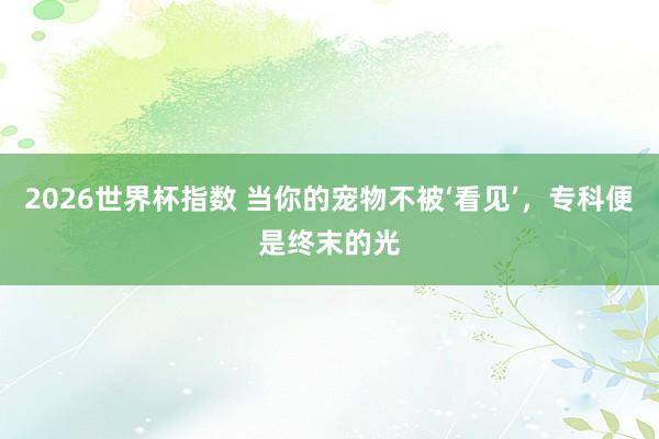 2026世界杯指数 当你的宠物不被‘看见’，专科便是终末的光