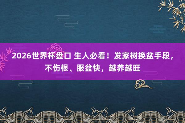 2026世界杯盘口 生人必看！发家树换盆手段，不伤根、服盆快，越养越旺
