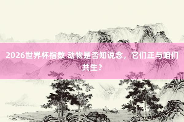 2026世界杯指数 动物是否知说念，它们正与咱们共生？
