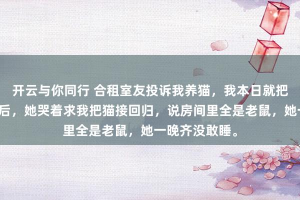 开云与你同行 合租室友投诉我养猫，我本日就把猫送走。一周后，她哭着求我把猫接回归，说房间里全是老鼠，她一晚齐没敢睡。