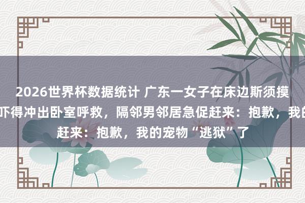 2026世界杯数据统计 广东一女子在床边斯须摸到金黄色长蛇，吓得冲出卧室呼救，隔邻男邻居急促赶来：抱歉，我的宠物“逃狱”了