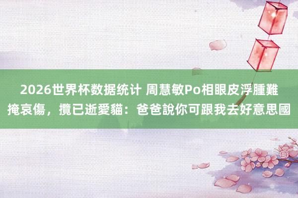 2026世界杯数据统计 周慧敏Po相眼皮浮腫難掩哀傷，攬已逝愛貓：爸爸說你可跟我去好意思國