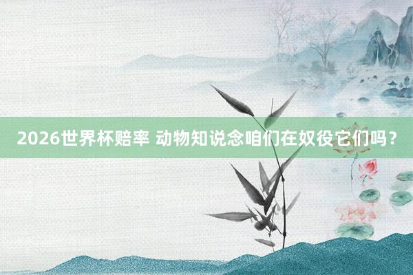 2026世界杯赔率 动物知说念咱们在奴役它们吗？