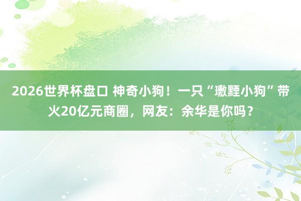 2026世界杯盘口 神奇小狗！一只“璷黫小狗”带火20亿元商圈，网友：余华是你吗？