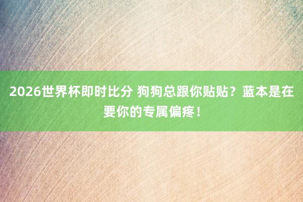 2026世界杯即时比分 狗狗总跟你贴贴？蓝本是在要你的专属偏疼！