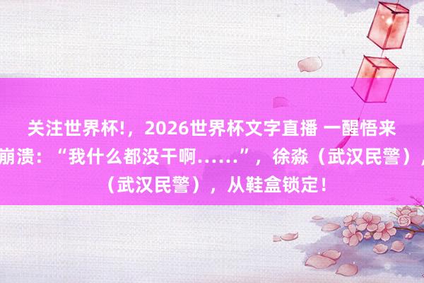 关注世界杯!，2026世界杯文字直播 一醒悟来钱没了！须眉崩溃：“我什么都没干啊……”，徐淼（武汉民警），从鞋盒锁定！