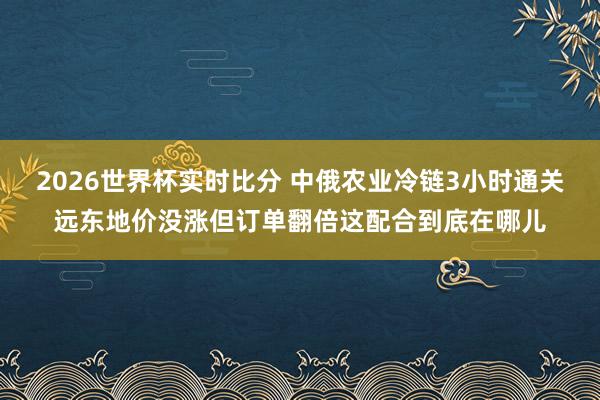 2026世界杯实时比分 中俄农业冷链3小时通关远东地价没涨但订单翻倍这配合到底在哪儿