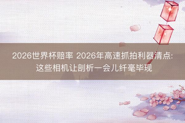 2026世界杯赔率 2026年高速抓拍利器清点: 这些相机让剖析一会儿纤毫毕现