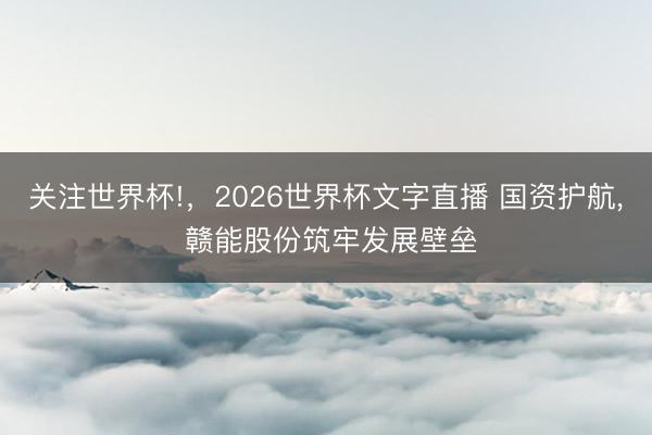 关注世界杯!,2026世界杯文字直播 国资护航, 赣能股份筑牢发展壁垒