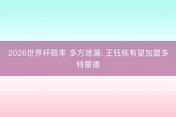 2026世界杯赔率 多方泄漏: 王钰栋有望加盟多特蒙德
