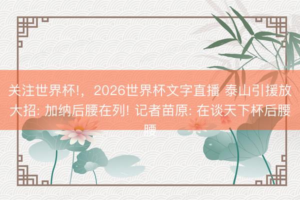 关注世界杯!,2026世界杯文字直播 泰山引援放大招: 加纳后腰在列! 记者苗原: 在谈天下杯后腰